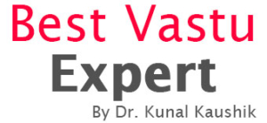 Best Vastu Expert (IN)